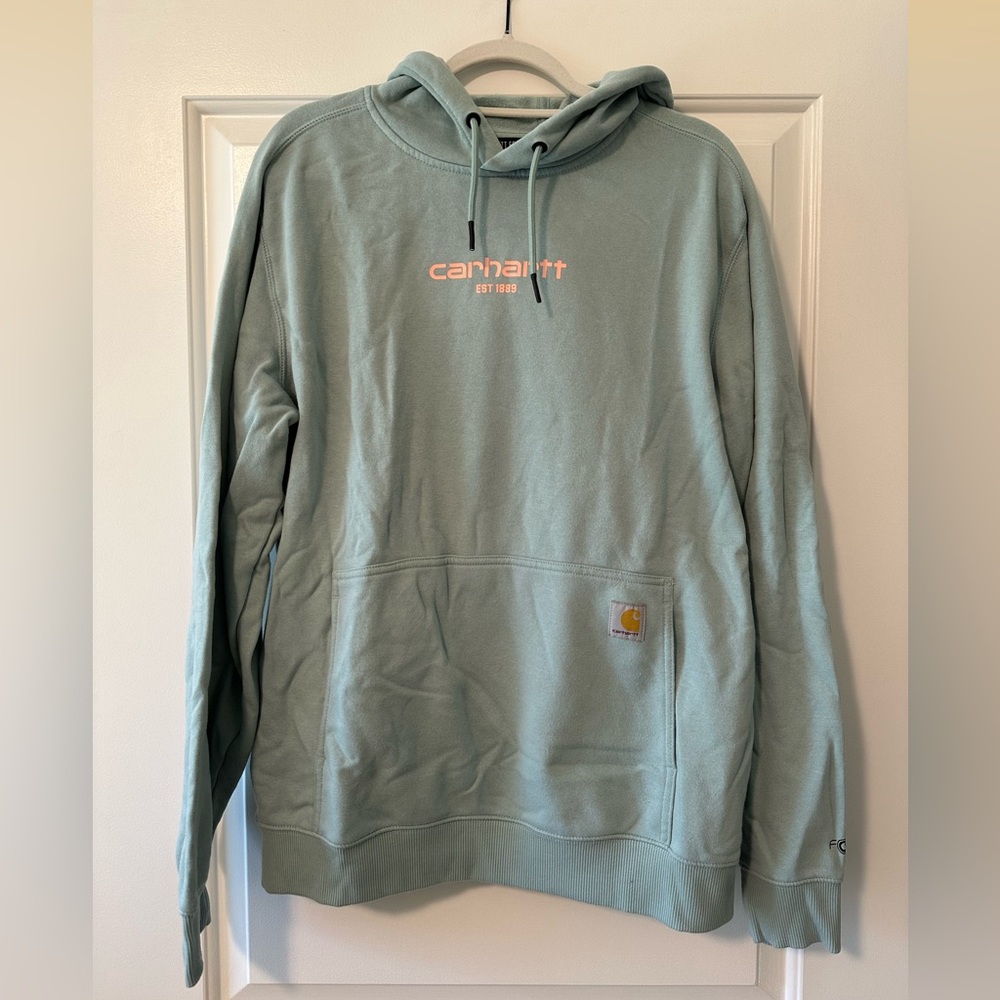 Carhartt Men's Blue Green Hoodie